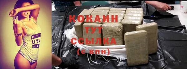 сатива Гатчина