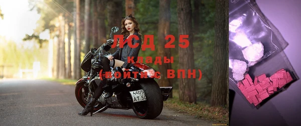 амф Сатка