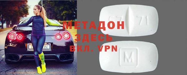прущие грибы Гвардейск