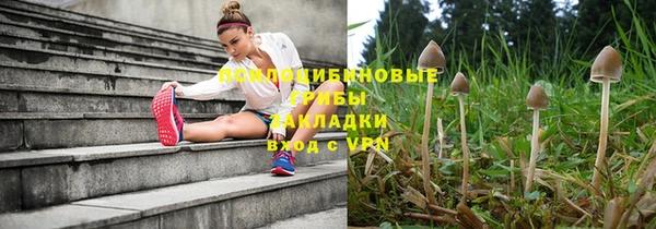 гашик Россошь