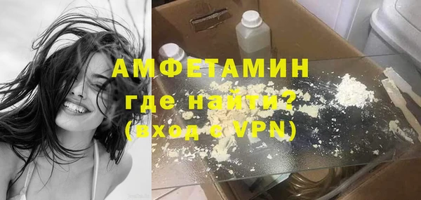 прущие грибы Гвардейск